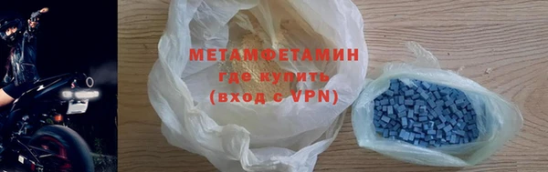 прущие грибы Вязники